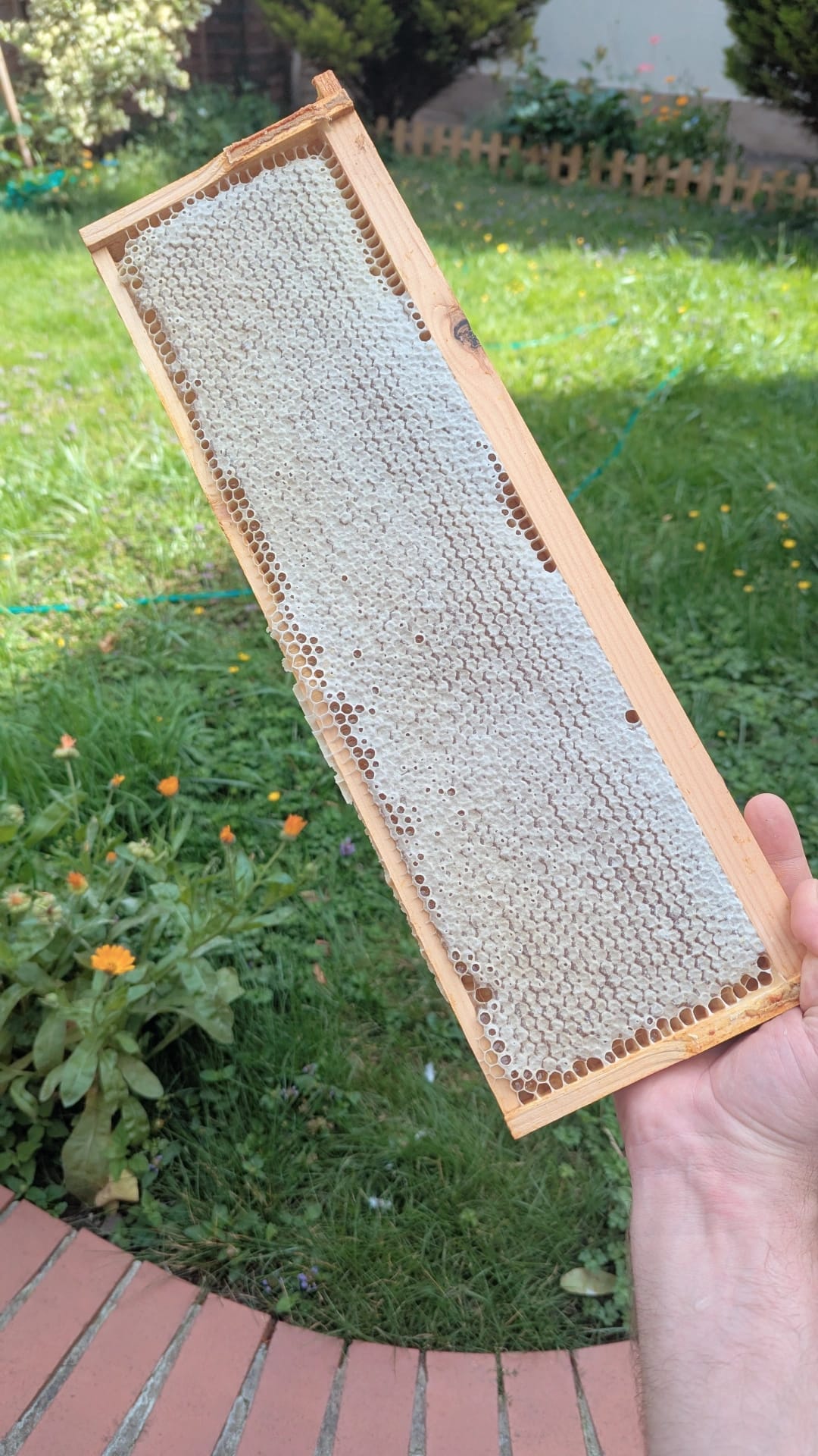 Wildflower Honey - 454g - Stone Age London