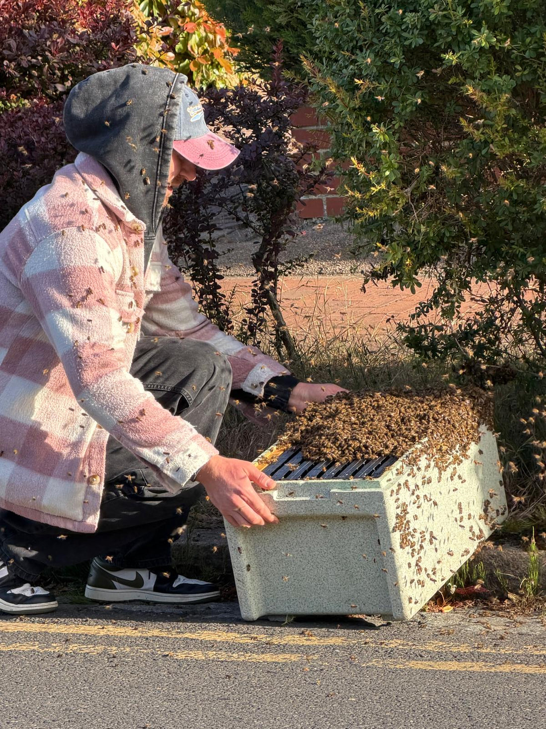 Rescued Swarms, Golden Stories: The Hands-On Journey Behind Stone Age London Honey