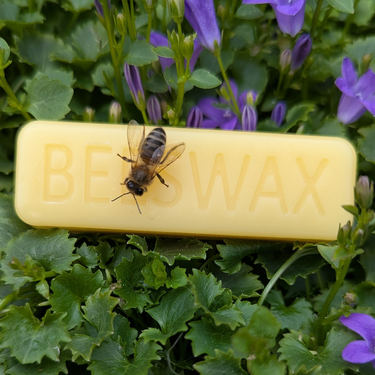 Pure Natural Beeswax Bars